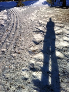 Snowshoe shadow